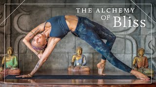 Full Body Yoga Flow – Montezuma, Costa Rica